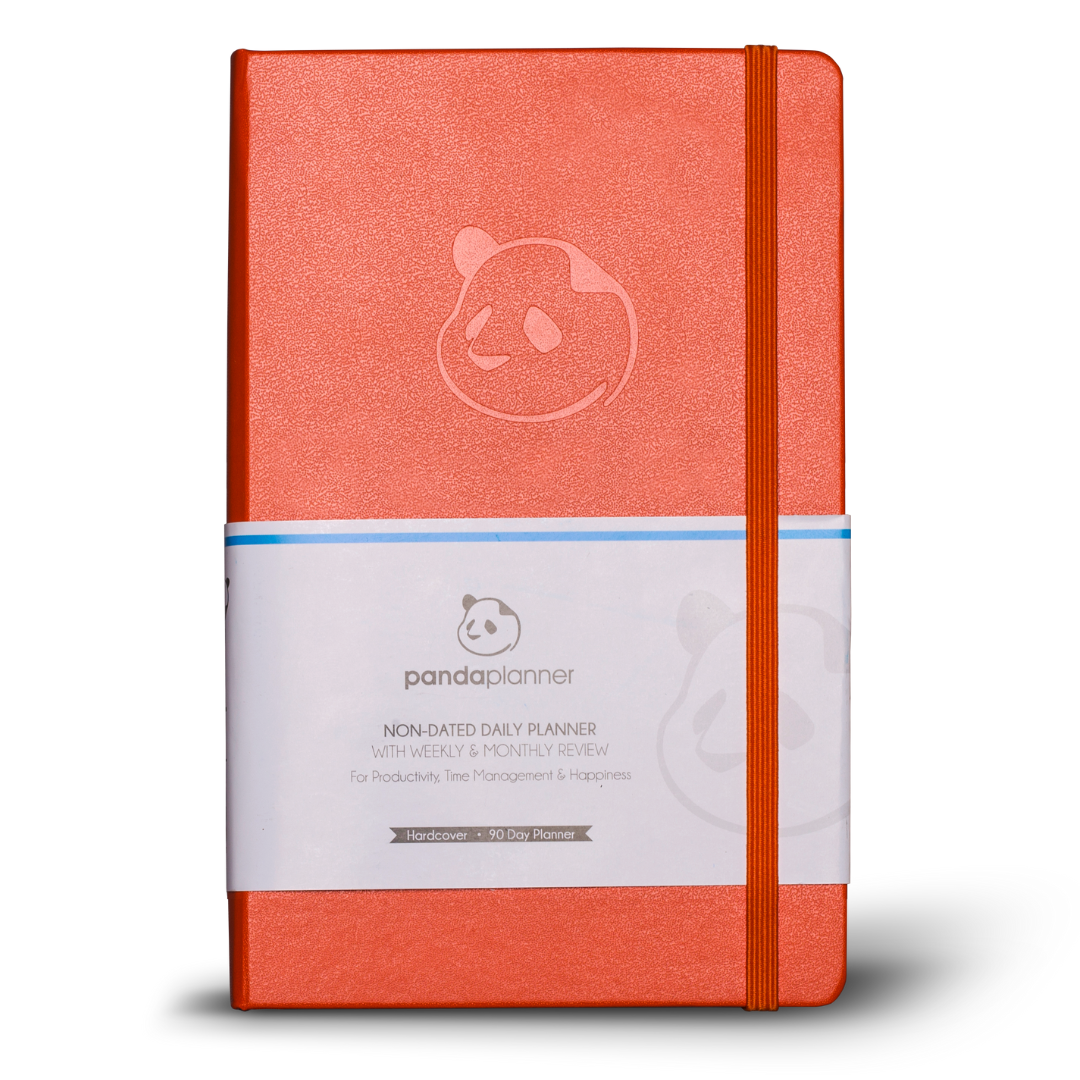 3 Month Panda Classic - Daily Planning in 3 Sections