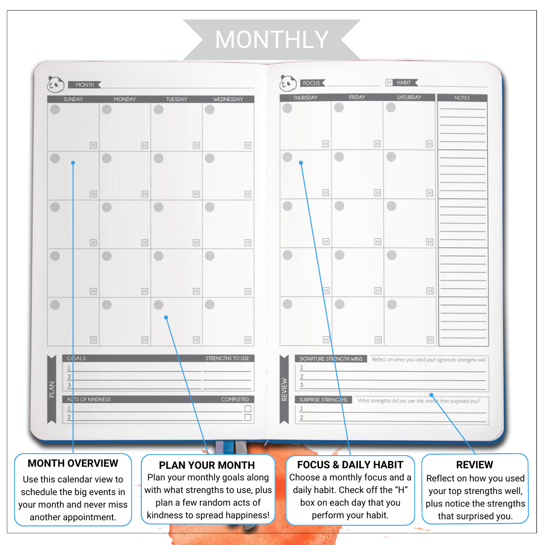 3 Month VIA - Strengths Based Personalized Path to Organization & Focus