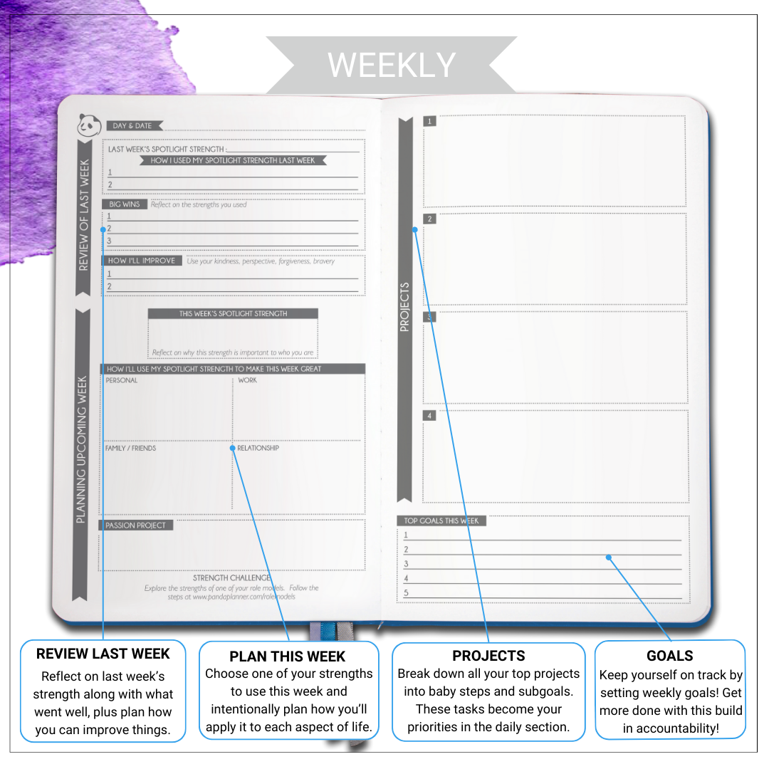 3 Month VIA - Strengths Based Personalized Path to Organization & Focus